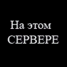   porodoks