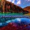   onelovemeow