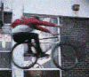   The Velosiped