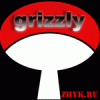   grizzly5482