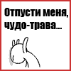   darkore