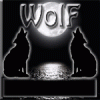 Аватар для wolf-454011849