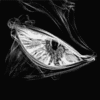   *~>[Fenix]<~*