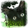 Аватар для Rekoin