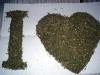   litleanal