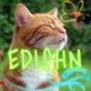 Аватар для EDISHN