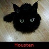   Housten1
