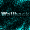   ..:Wallhack:..