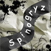   SpinogryZz